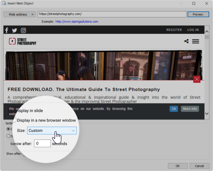 The Web Object button on the iSpring Converter Pro toolbar