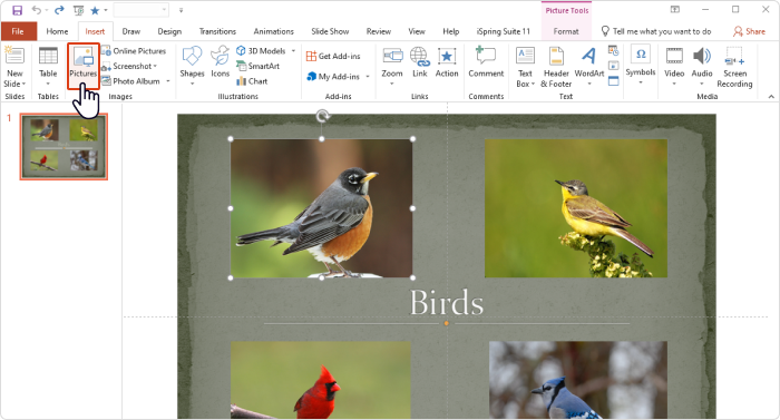 Add flash card clues to a PowerPoint slide
