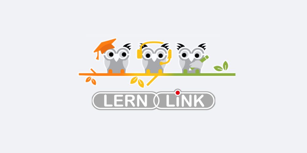 lerm.link Partner Case Study