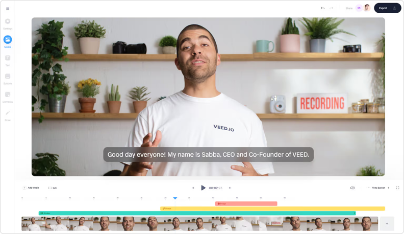VEED.IO training video software