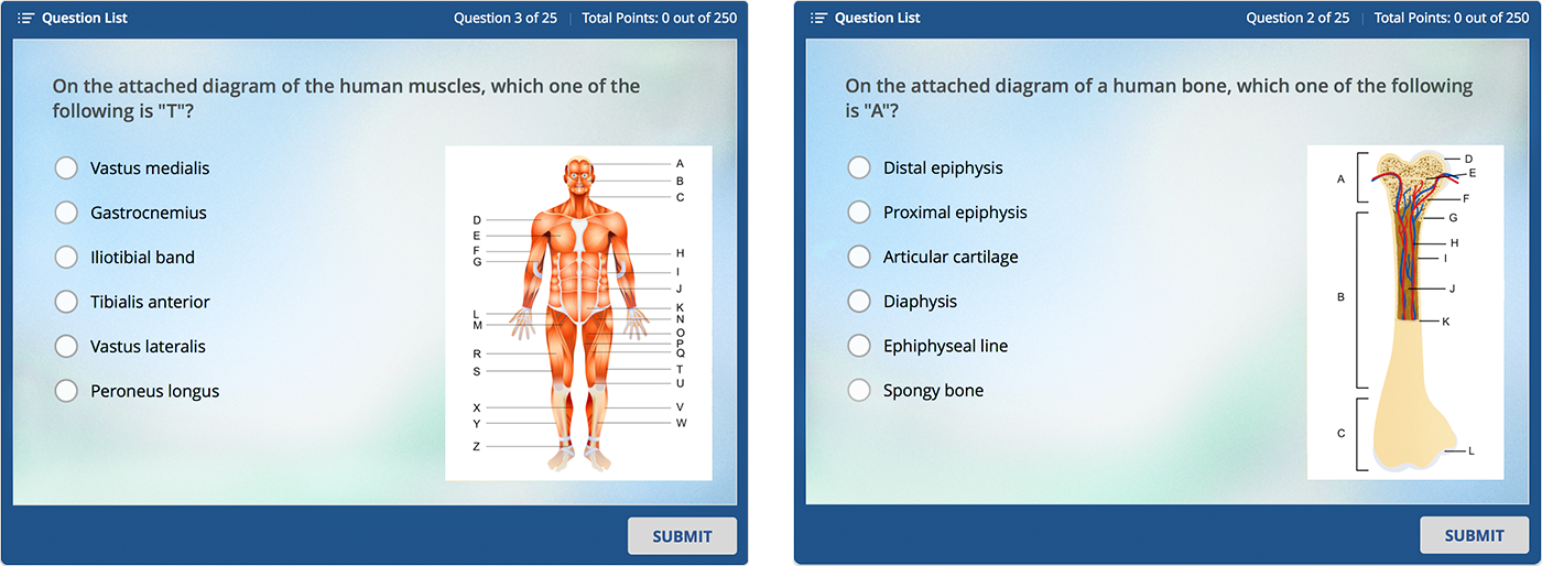 Learning Nurse's course