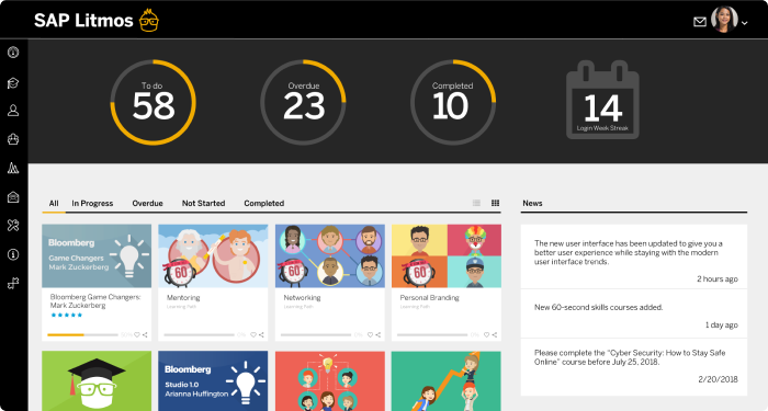 SAP Litmos learning portal interface