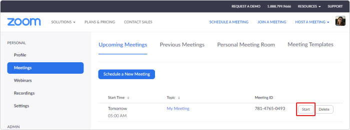 Staring a meeting in Zoom