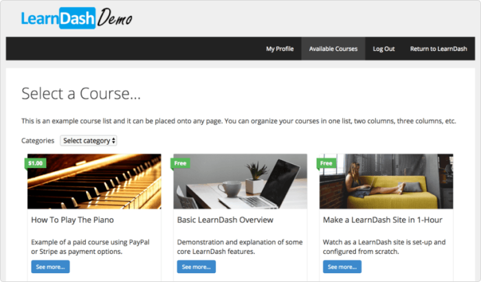 LearnDash LearnDash Interface