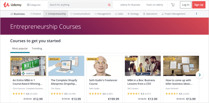 The evergreen sale on Udemy