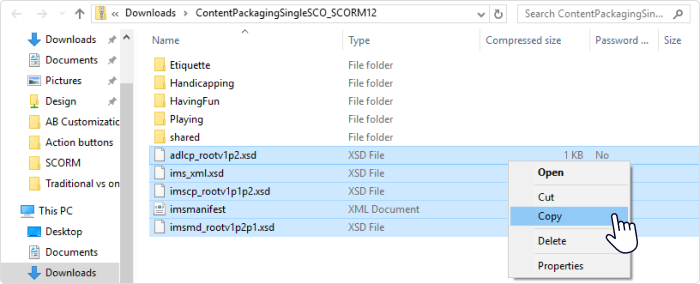 Copying the SCORM files to a folder
