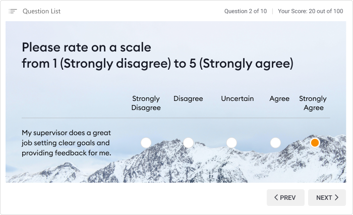 Likert Scale