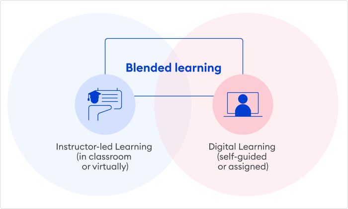 Hukommelse Derivation udbytte What is Blended Learning? Types, Examples & Tools