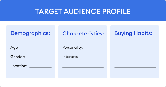Target auidience profile Determining target audience