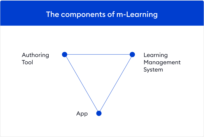 m-Learning components