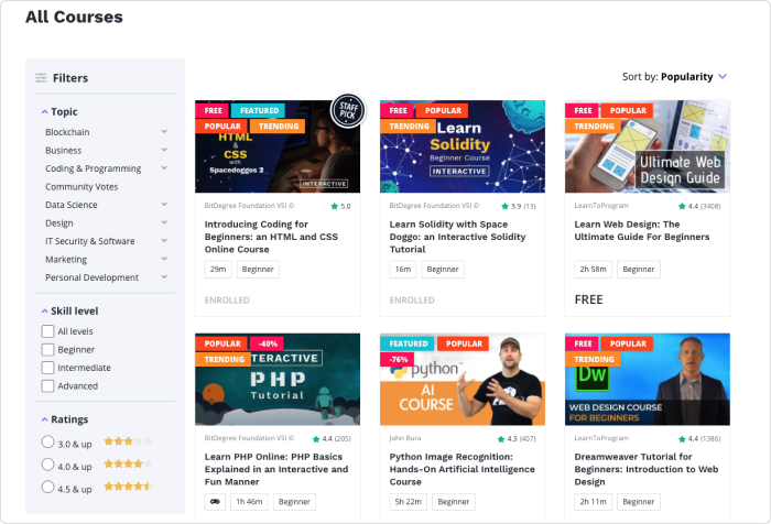 BitDegree BitDegree platform