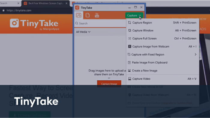 TinyTake screen recording