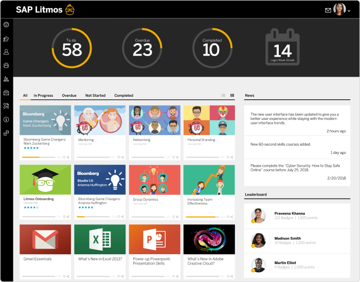SAP Litmos's interface