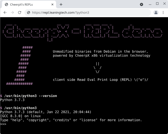 Flash Player Emulators: How to Play SWF Files in 2021 and Beyond