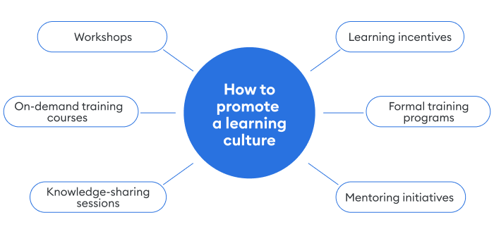 How to promote a learning culture