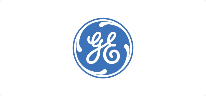 General Electric's employee development plan General Electric's employee development plan