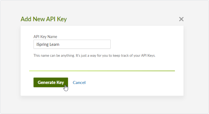 API Key Name