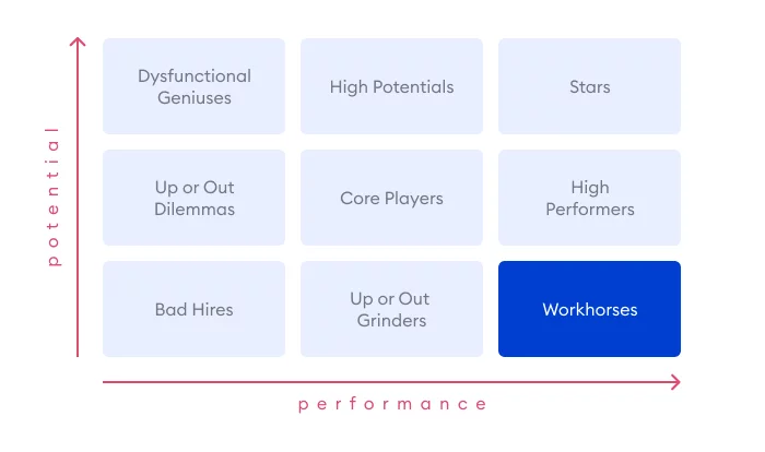 Workhorses in the 9 Box Grid