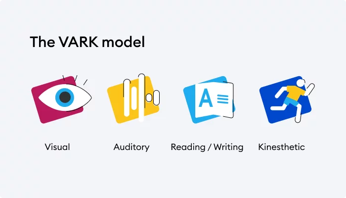 The VARK model