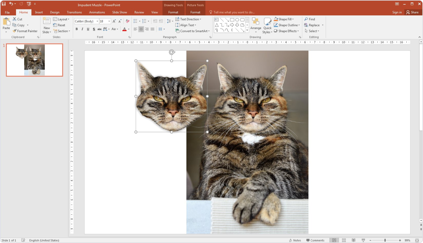 ow to make a better PowerPoint presentation with custom-shaped images