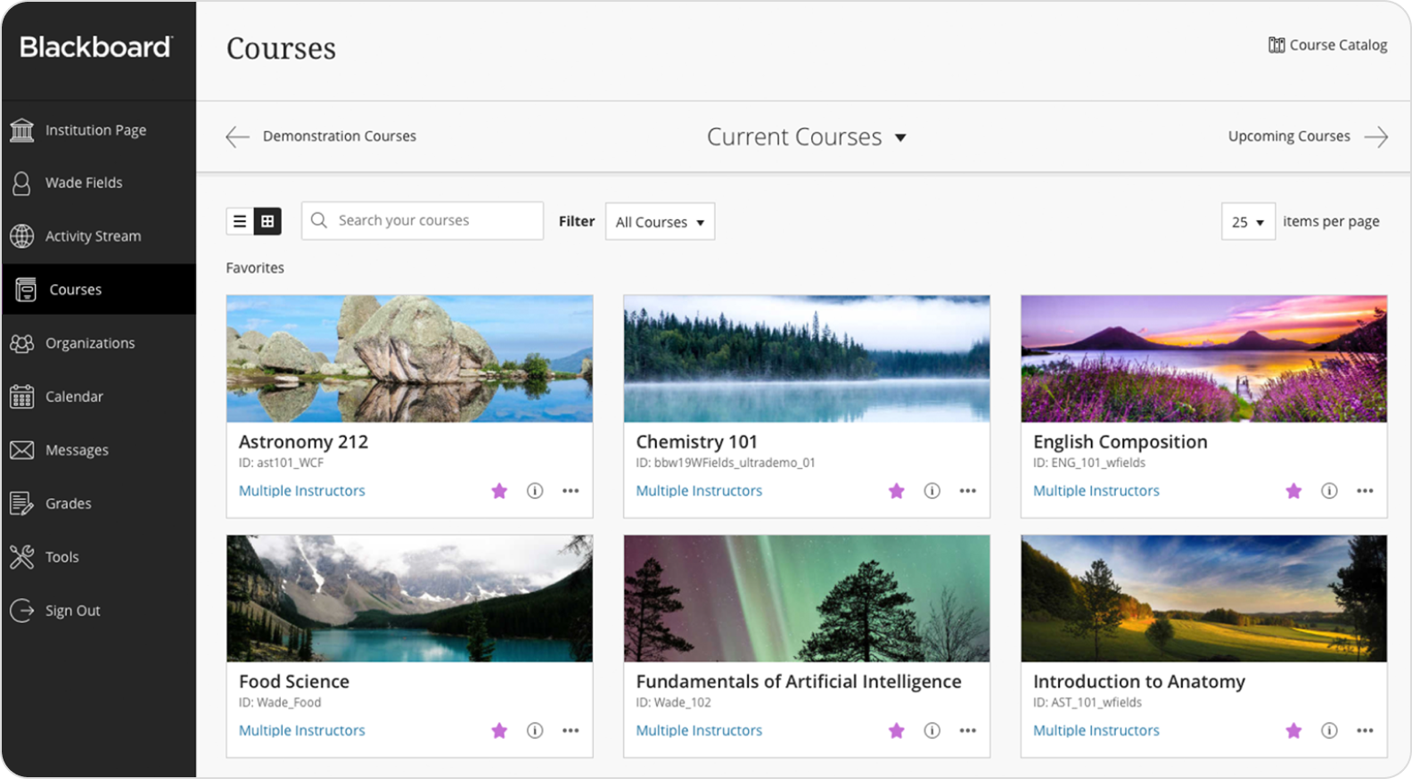 Blackboard Learn