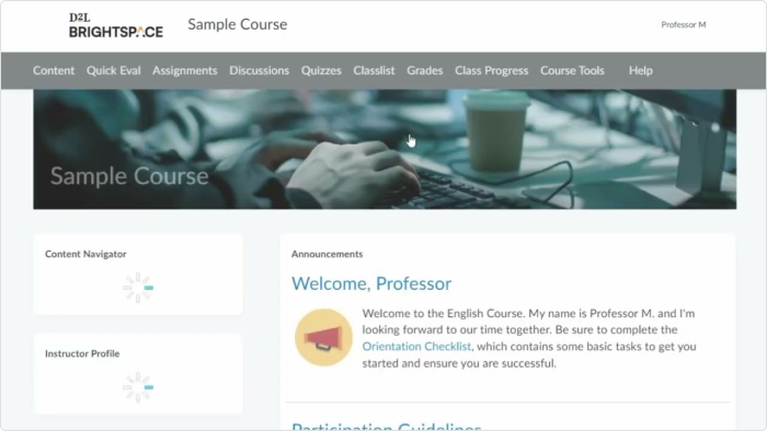 D2L Brightspace LMS
