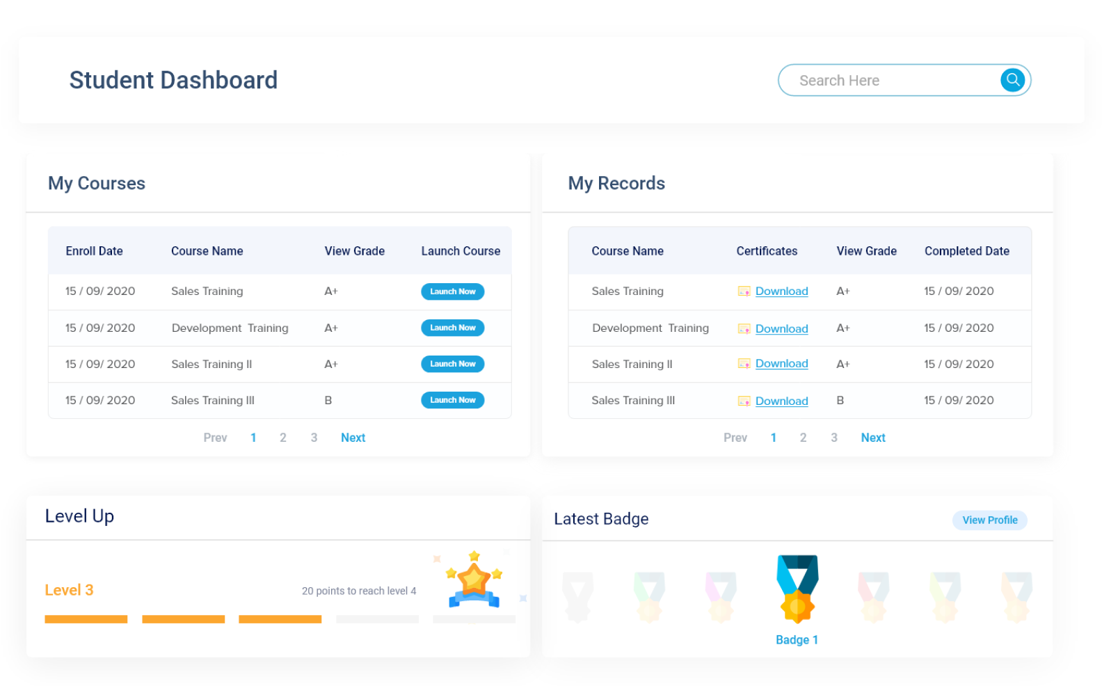 Paradiso gamified LMS