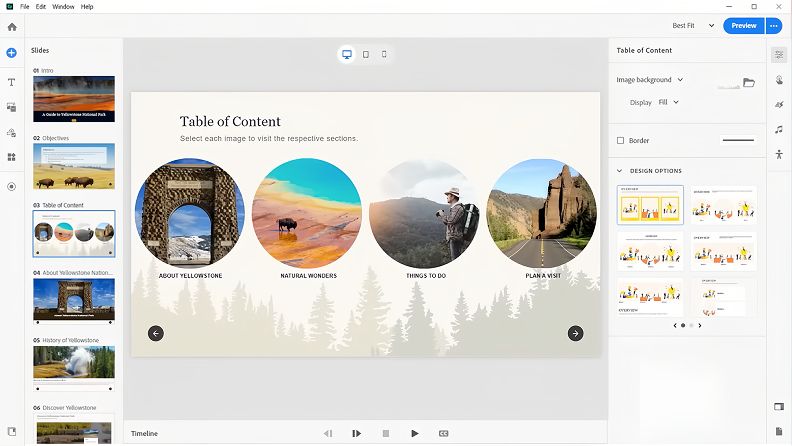 Captivate interface