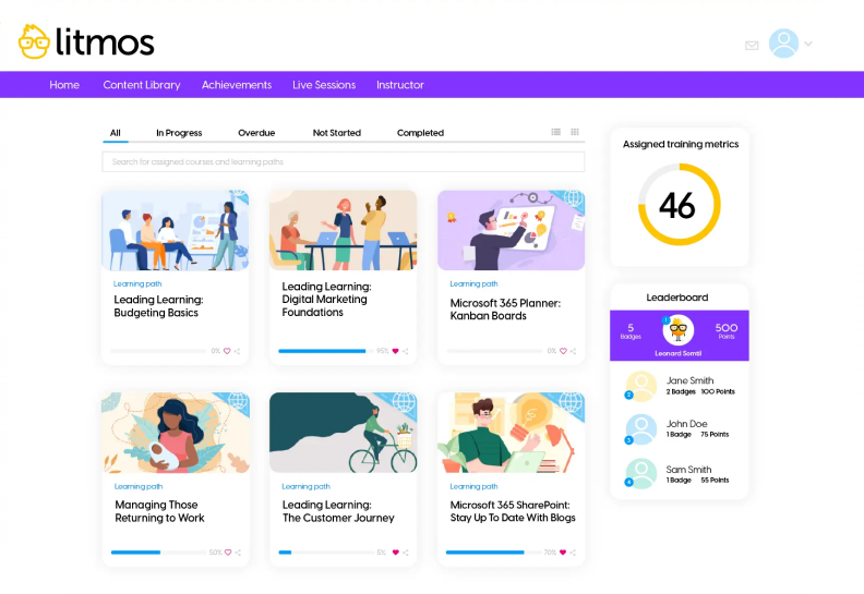 Litmos interface
