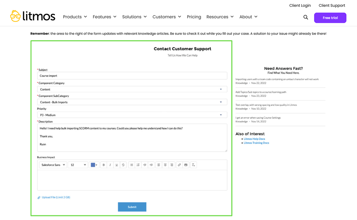 Litmos LMS support services