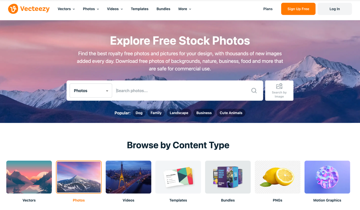 Where to find images for PowerPoint presentations: Vecteezy