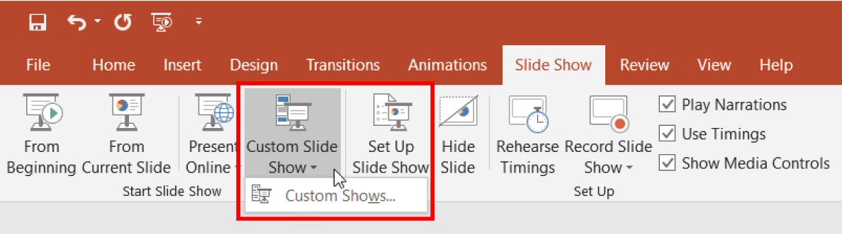Start Slide Show options in PowerPoint