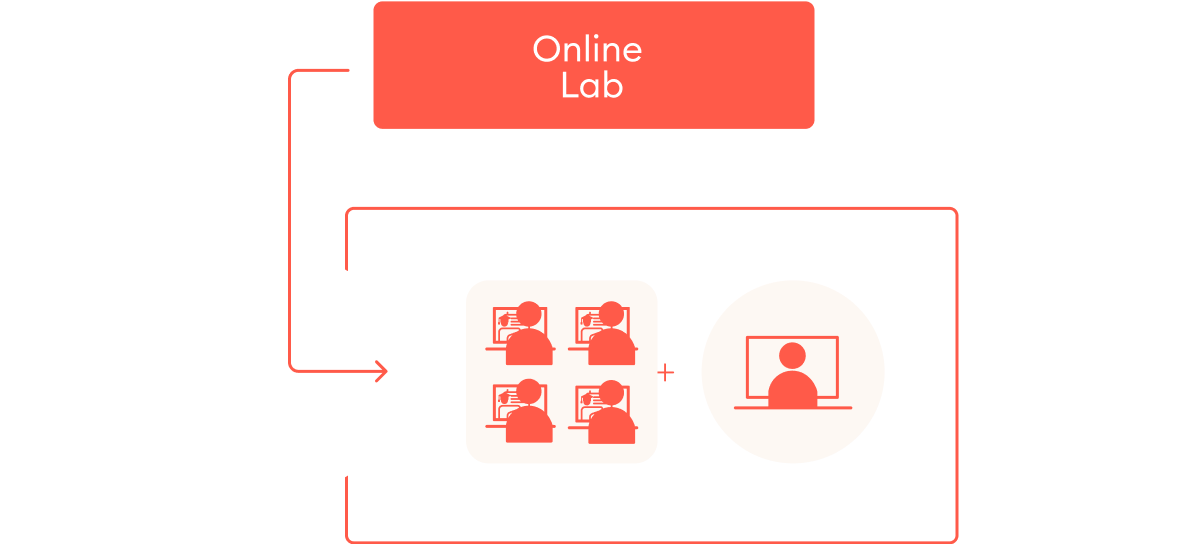Online lab model