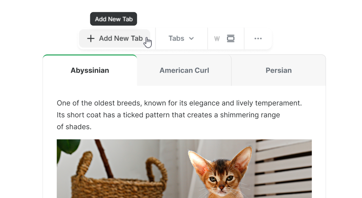 Add New Tab button