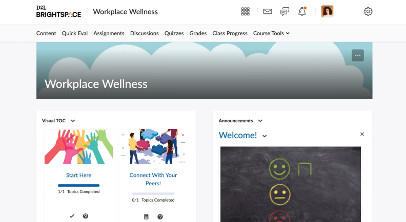 D2L Brightspace LMS D2L Brightspace LMS